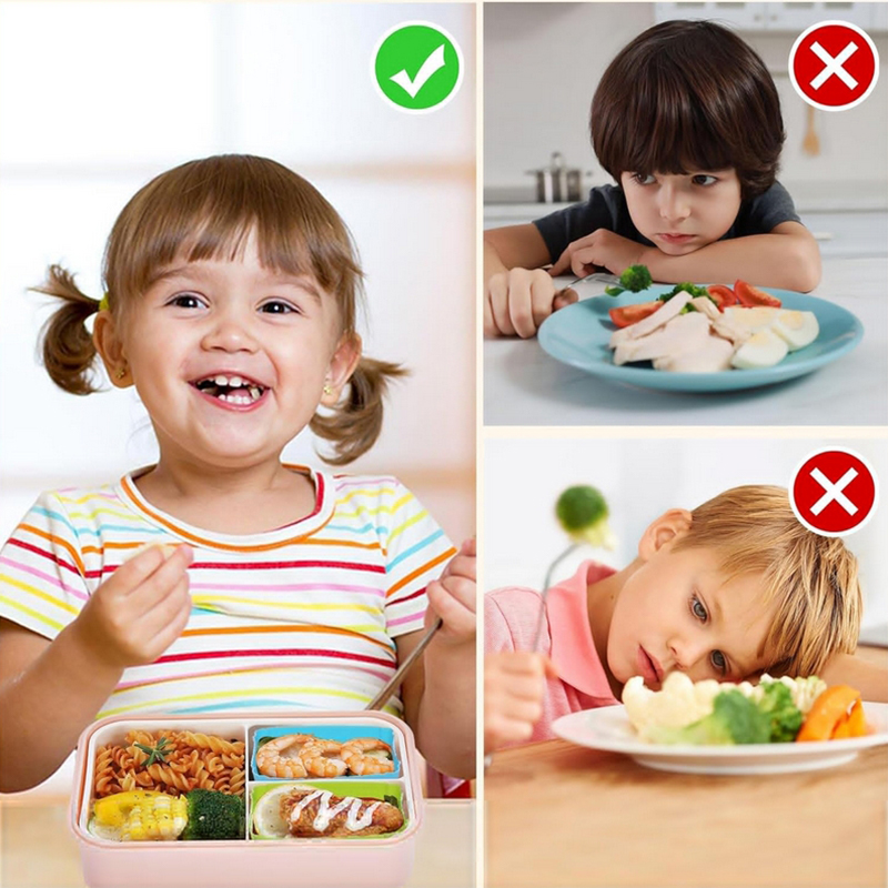 8 قطع من فواصل علب الغداء السي - مراجعة Bento Box وسعره